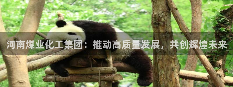 球盟会体育平台：河南煤业化工集团：推动高质量发展，共创辉煌未