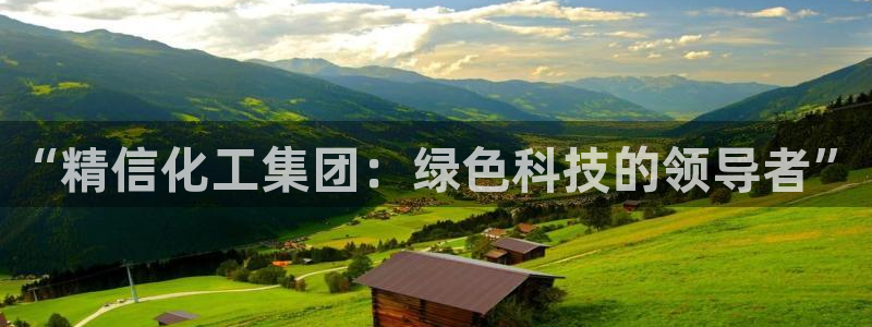 球盟会官方网站是什么：“精信化工集团：绿色科技的领导者”
