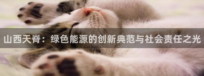 球盟会有没有黑单的球员：山西天脊：绿色能源的创新典范与社会责