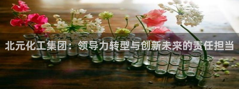 球盟会网址多少：北元化工集团：领导力转型与创新未来的责任担当