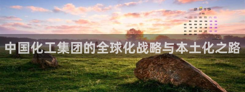 球盟会qmh登录地址：中国化工集团的全球化战略与本土化之路