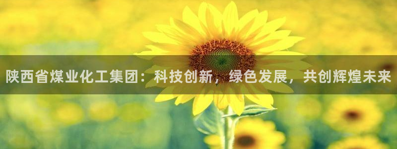 球盟会能提现吗是真的吗：陕西省煤业化工集团：科技创新，绿色发