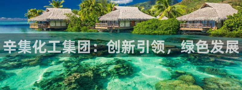 球盟会娱乐平台：辛集化工集团：创新引领，绿色发展