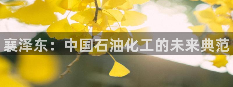 球盟会登陆中心：襄泽东：中国石油化工的未来典范
