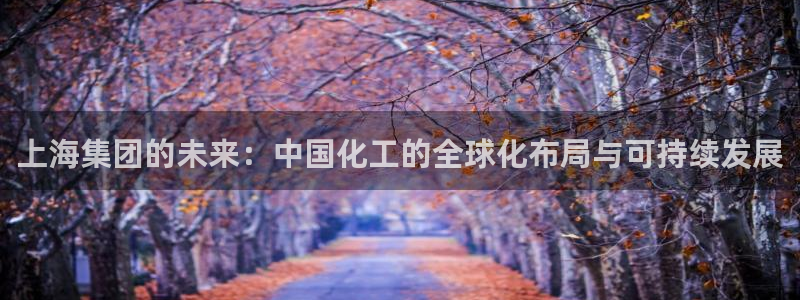 球盟会和中欧：上海集团的未来：中国化工的全球化布局与可持续发