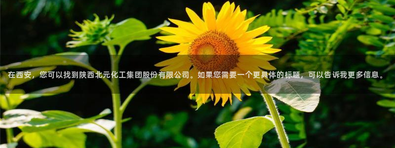 球盟会出款黑了：在西安，您可以找到陕西北元化工集团股份有限公