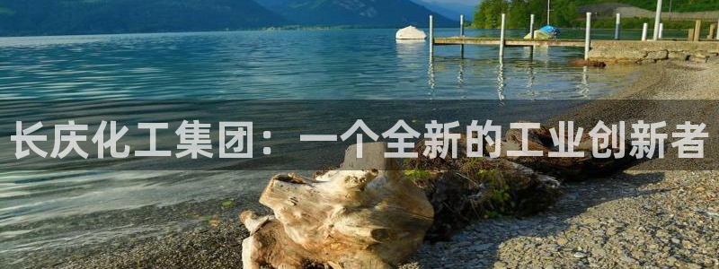 球盟会里面有打牌的嘛：长庆化工集团：一个全新的工业创新者