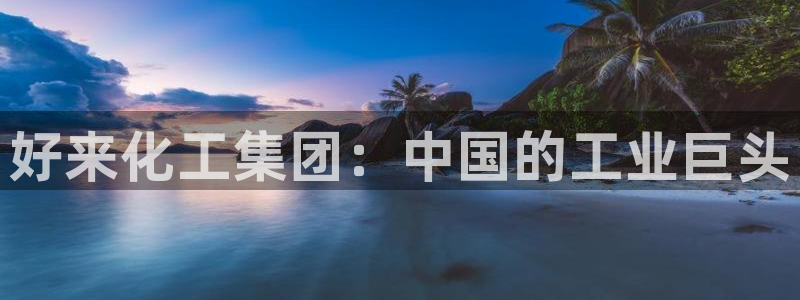 球盟会封禁：好来化工集团：中国的工业巨头