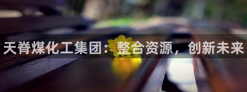 球盟会app最新地址在哪里：天脊煤化工集团：整合资源，创新未