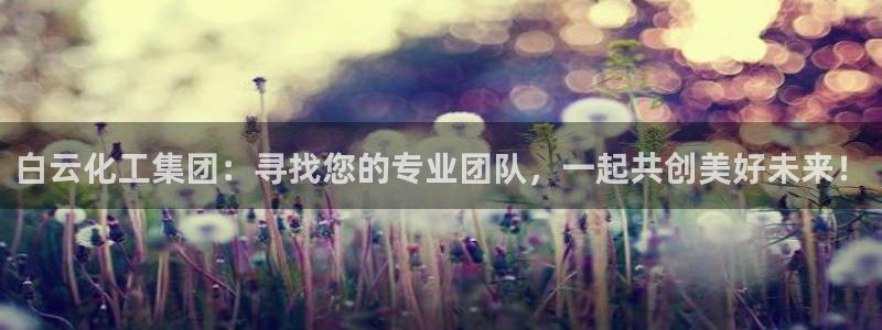 球盟会封号：白云化工集团：寻找您的专业团队，一起共创美好未来