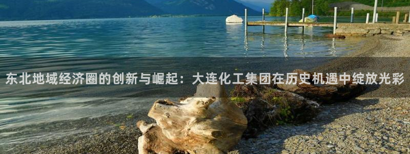 球盟会网页登录：东北地域经济圈的创新与崛起：大连化工集团在历