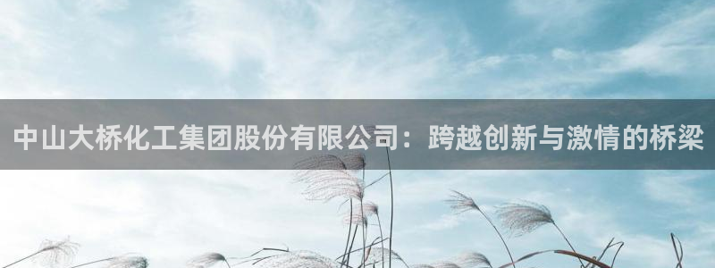 球盟会黑