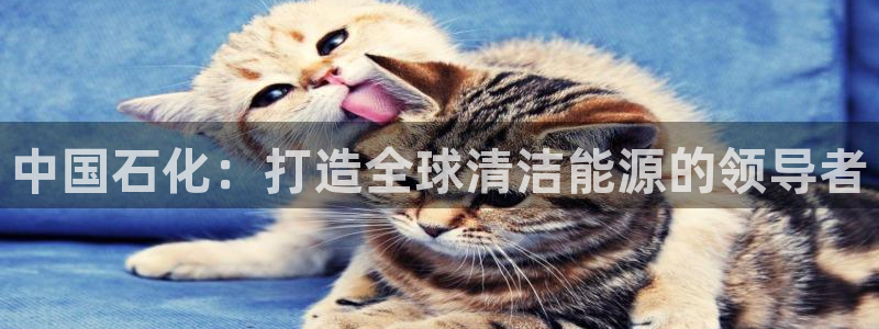 球盟会有没有黑单的