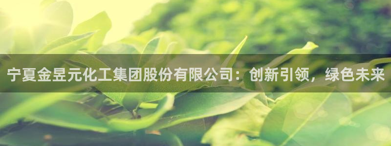 球盟会黑台
