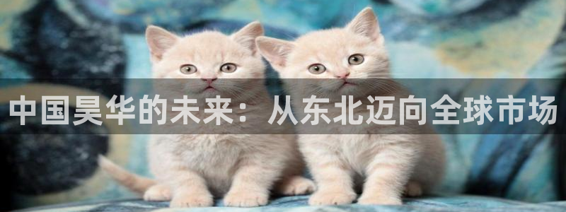 球盟会体育平台：中国昊华的未来：从东北迈向全球市场