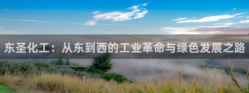 球盟会下款快吗：东圣化工：从东到西的工业