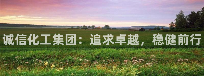 球盟会手机网页版：诚信化工集团：追求卓越，稳健前行