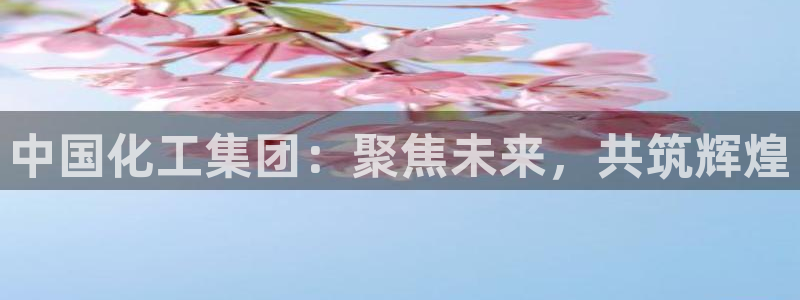 球盟会网址qm9 - 球盟会qmh网页版登录：中国化工集团：