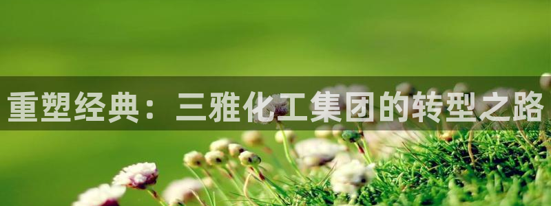 球盟会网页登录app下载地址：重塑经典：三雅化工集团的转型之