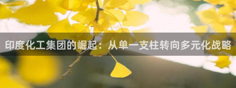 球盟会优惠码