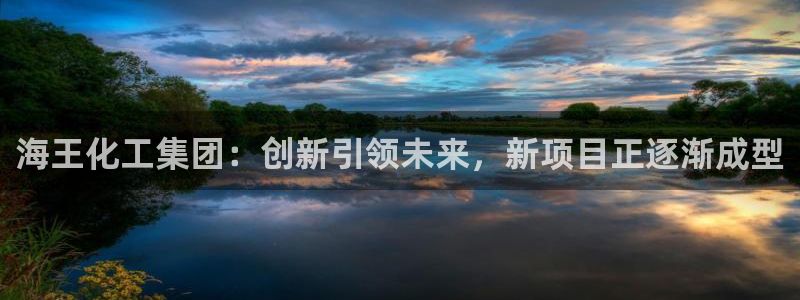 球盟会最新网：海王化工集团：创新引领未来，新项目正逐渐成型