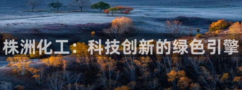 球盟会连接：株洲化工：科技创新的绿色引擎