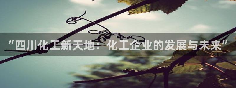 球盟会能退钱吗知乎：“四川化工新天地：化工企业的发展与未来”