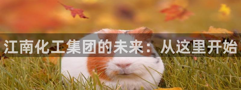 球盟会(中国)官方网站：江南化工集团的未来：从这里开始