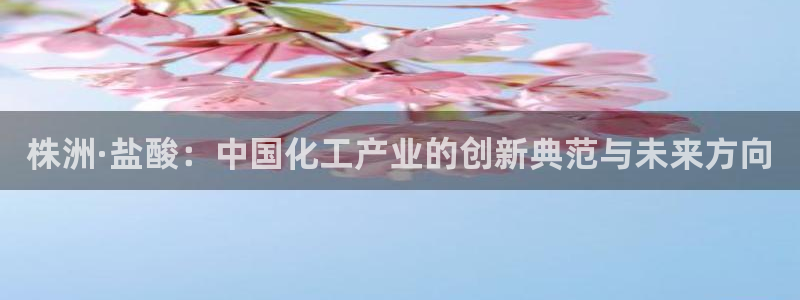 球盟会登录入口：株洲·盐酸：中国化工产业的创新典范与未来方向