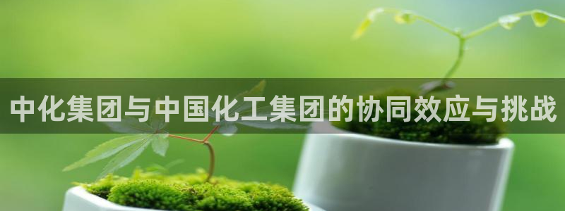 球盟会体育app官方网站：中化集团与中国化工集团的协同效应与