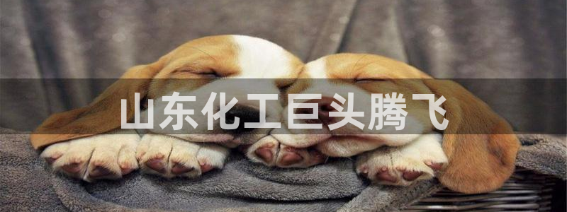 球盟会网页版：山东化工巨头腾飞