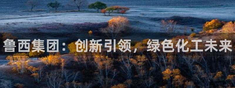 球盟会中国官方网站：鲁西集团：创新引领，绿色化工未来