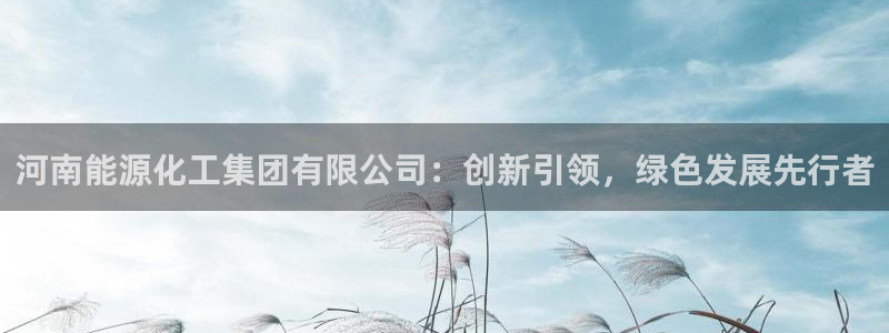 球盟会电子游戏平台：河南能源化工集团有限公司：创新引领，绿色