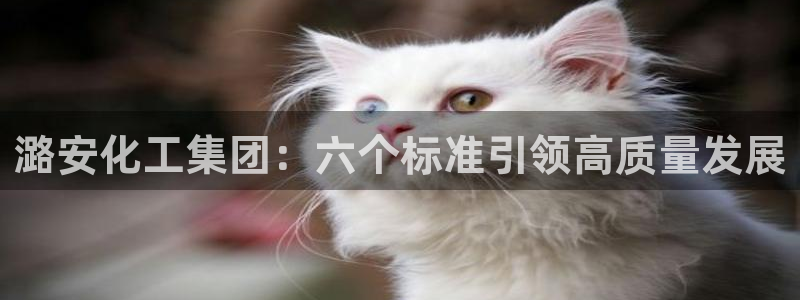 球盟会app最新地址下载：潞安化工集团：六个标准引领高质量发