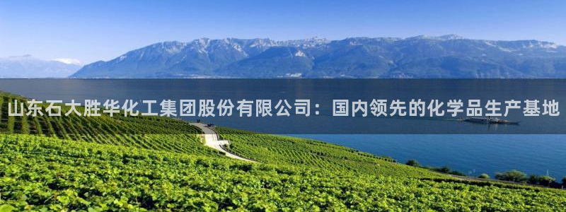 球盟会连接：山东石大胜华化工集团股份有限公司：国内领先的化学