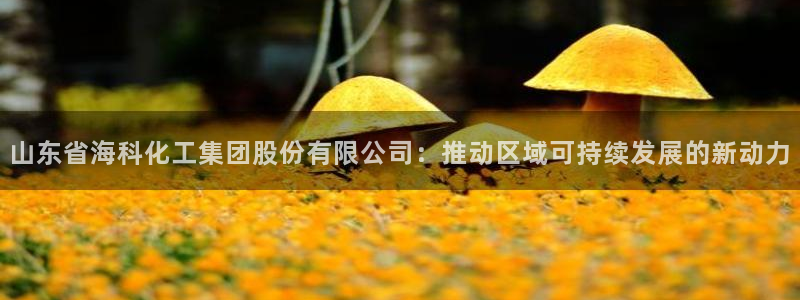 球盟会邮箱：山东省海科化工集团股份有限公司：推动区域可持续发