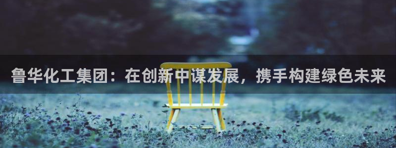 球盟会官方网址入口：鲁华化工集团：在创新
