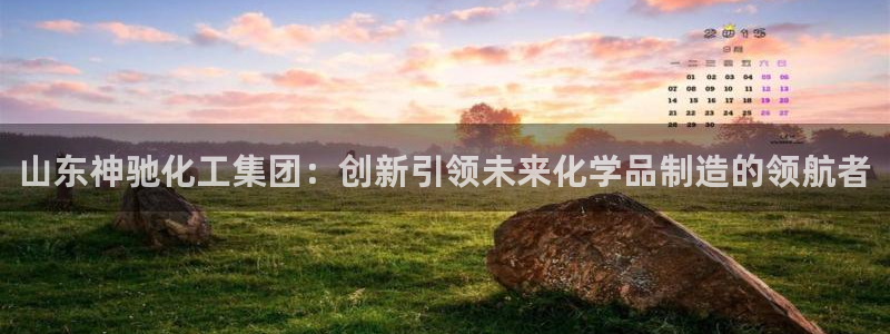 球盟会官方app首页入口：山东神驰化工集团：创新引领未来化学