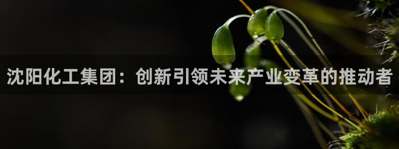 球盟会用的客服聊天是哪个软件：沈阳化工集团：创新引领未来产业