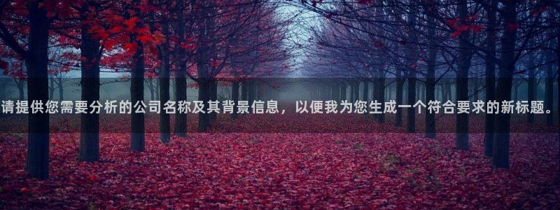 球盟会在线登录官网：请提供您需要分析的公司名称及其背景信息，