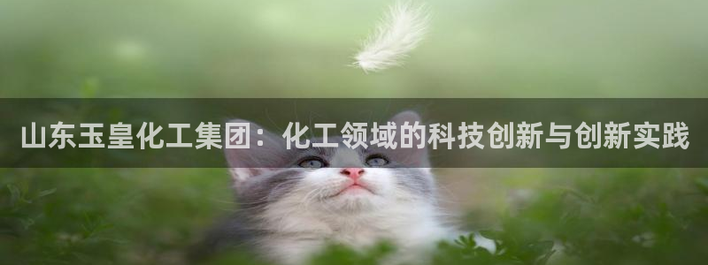 球盟会网址多少：山东玉皇化工集团：化工领域的科技创新与创新实