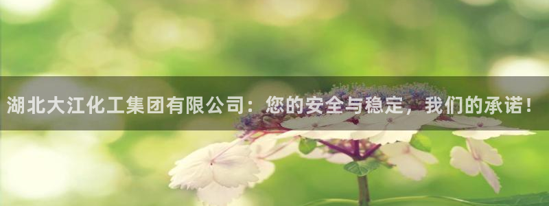 球盟会电子好下吗：湖北大江化工集团有限公司：您的安全与稳定，