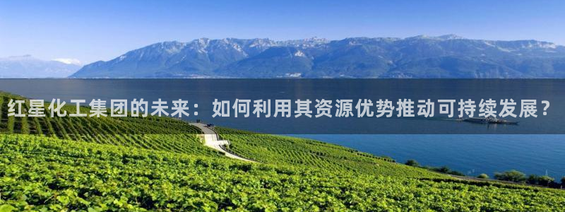 球盟会可靠不：红星化工集团的未来：如何利用其资源优势推动可持