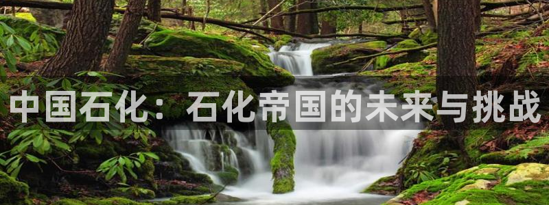 球盟会在线登入：中国石化：石化帝国的未来与挑战
