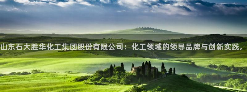 球盟会app最新地址在哪找：山东石大胜华化工集团股份有限公司