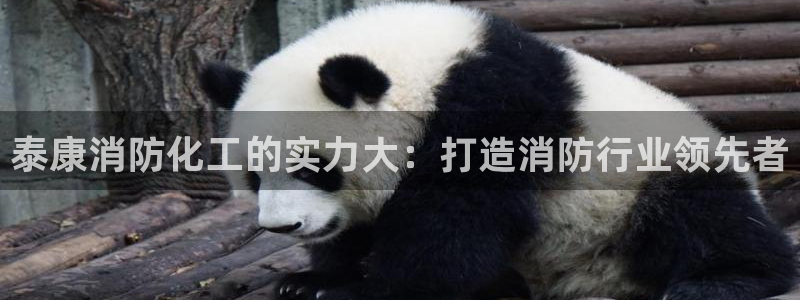 球盟会官网app下载