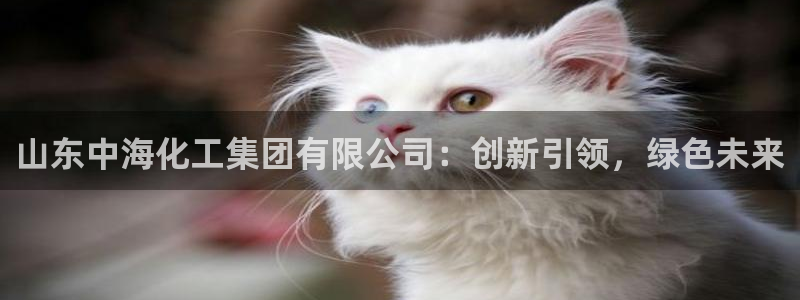 球盟会论坛：山东中海化工集团有限公司：创新引领，绿色未来