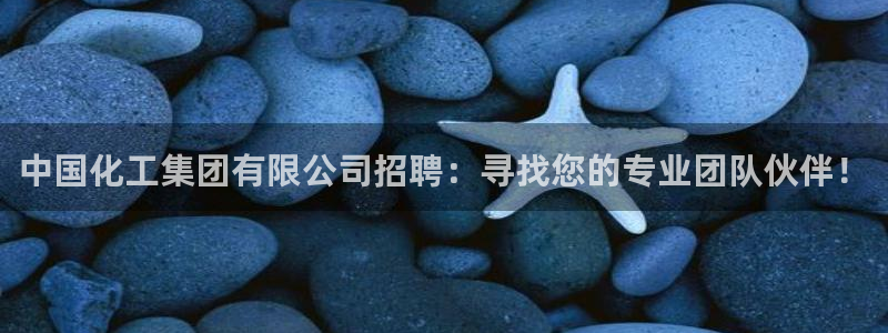 球盟会qmh官网：中国化工集团有限公司招聘：寻找您的专业团队