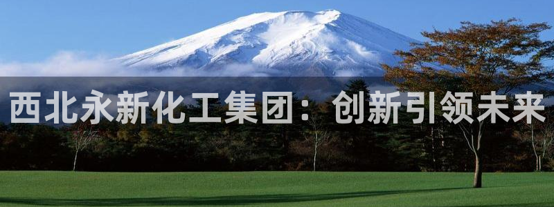 球盟会app入口：西北永新化工集团：创新引领未来
