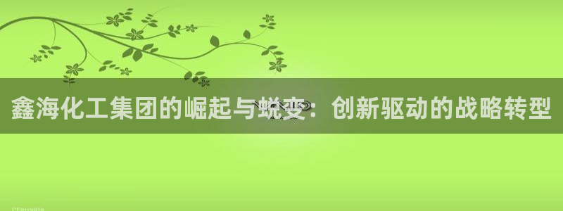 球盟会网址：鑫海化工集团的崛起与蜕变：创新驱动的战略转型